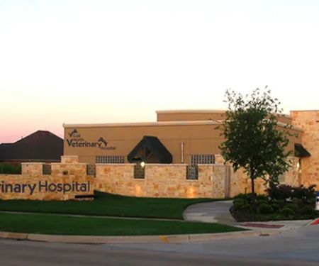 Coit North Veterinary Hospital