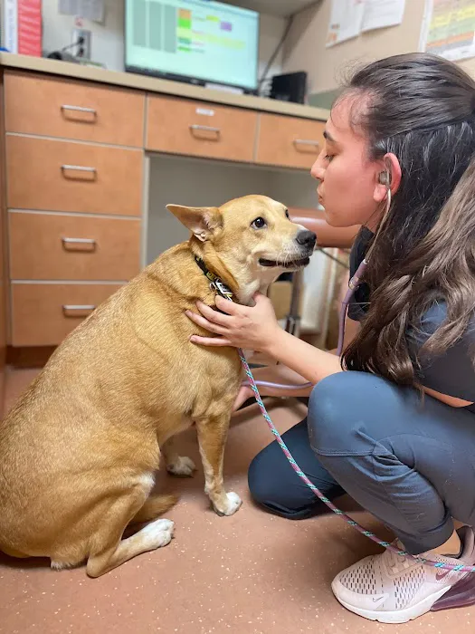 Double Oak Veterinary Medical Center Picture 10