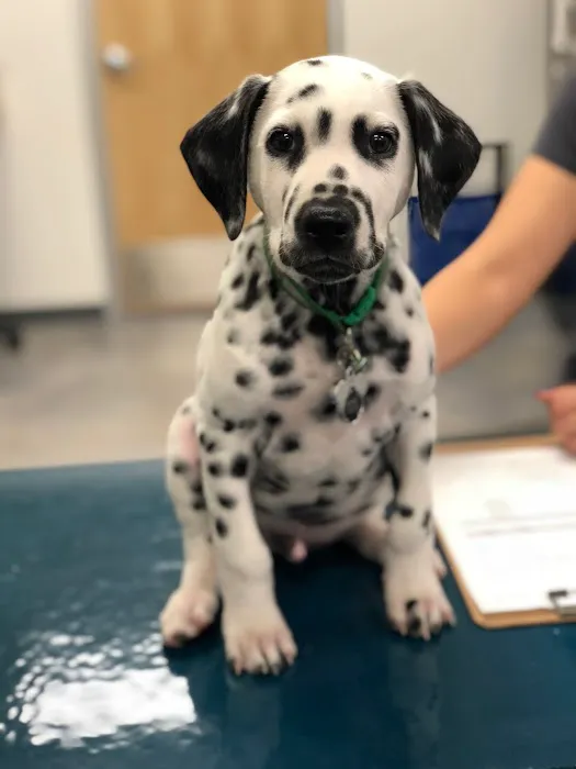 Thrive Pet Healthcare - Legacy Picture 9