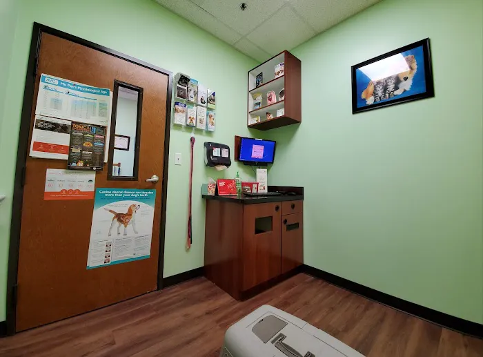 Eldorado Pet Hospital Picture 1