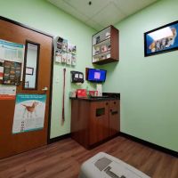 Eldorado Pet Hospital ico