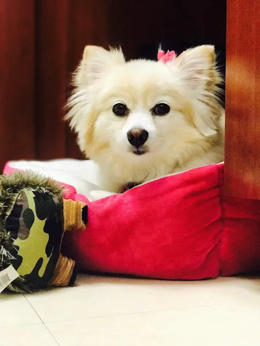 Eldorado Pet Hospital Picture 9