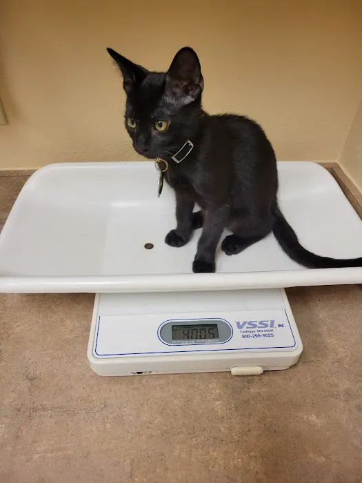 Blackstone Animal Hospital Picture 3