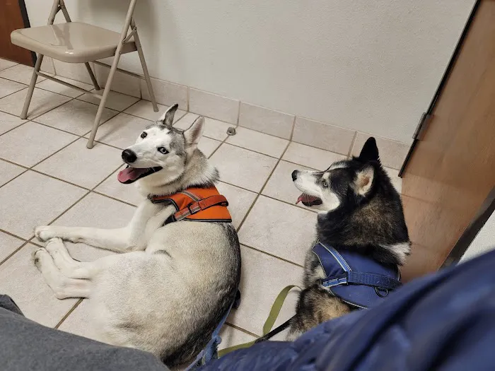 Plantation Pet Health Center Picture 4