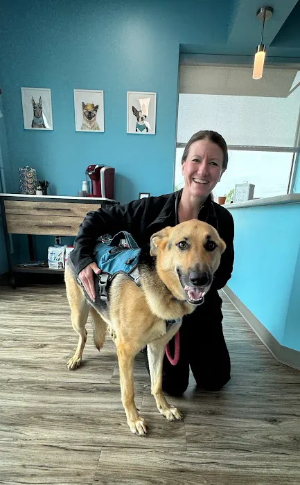 Frisco Vet Care Picture 2