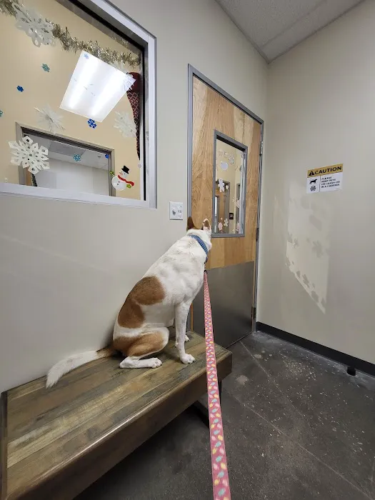 Vetco Total Care Animal Hospital Picture 6