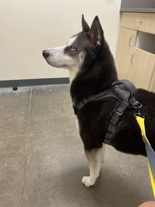 Vetco Total Care Animal Hospital Picture 1