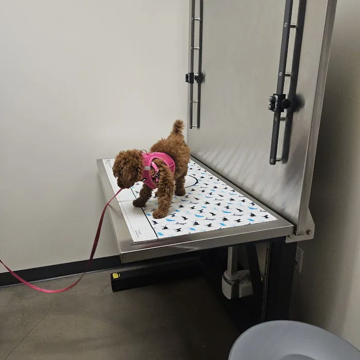 Vetco Total Care Animal Hospital Picture 7