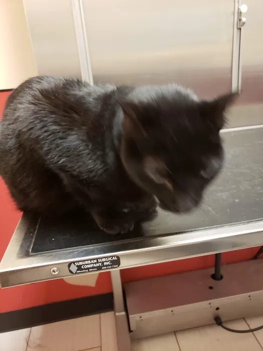 Vetco Total Care Animal Hospital Picture 8