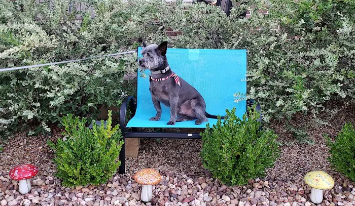 Family Pet Center Picture 7