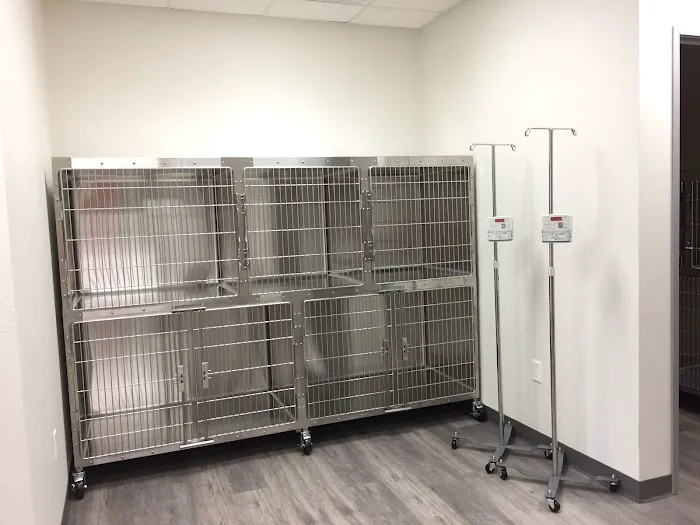 Panther Creek Animal Hospital Picture 3