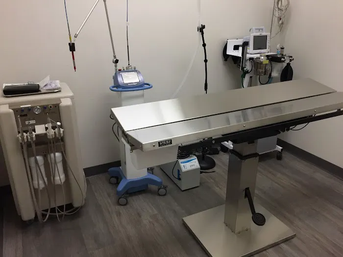 Panther Creek Animal Hospital Picture 2