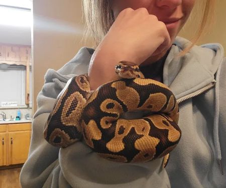 Ridglea West Animal Hospital