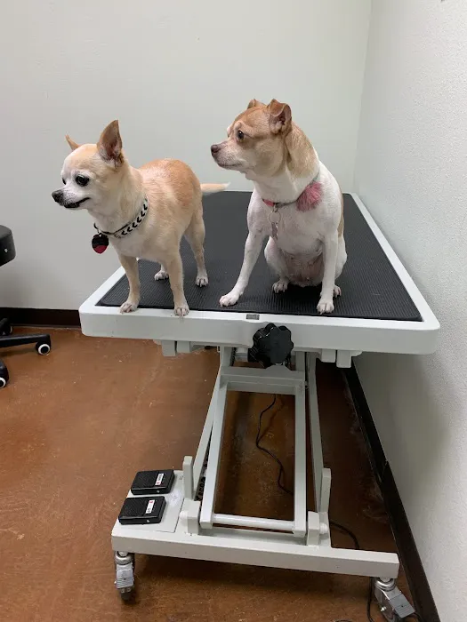 Ridglea West Animal Hospital Picture 3