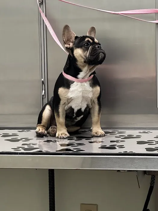 Ridglea West Animal Hospital Picture 10
