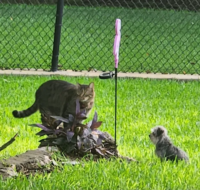 Frontier Veterinary Hospital Picture 10