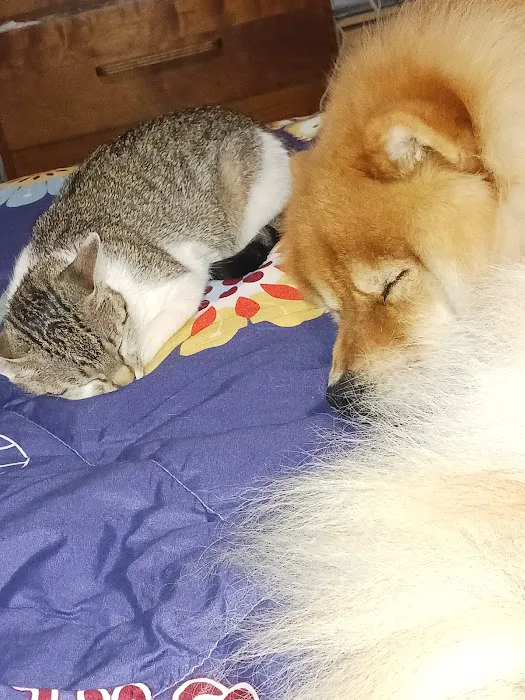 Frontier Veterinary Hospital Picture 9