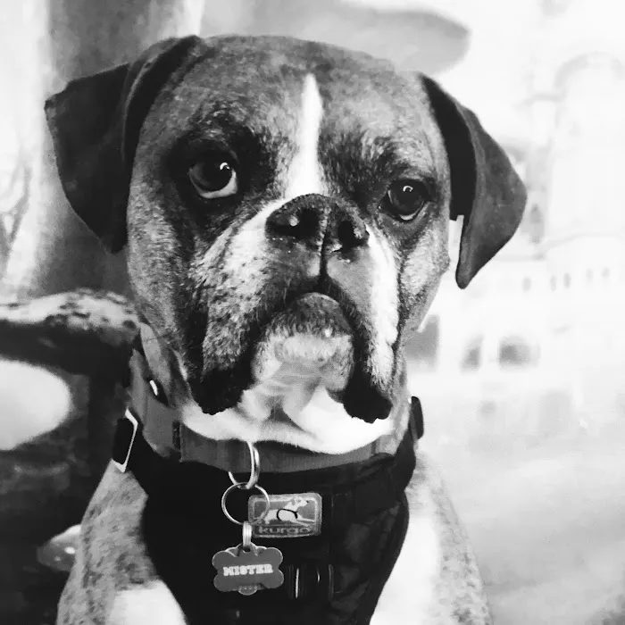 Harris Parkway Animal Hospital Picture 1