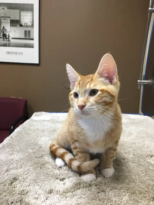 Harris Parkway Animal Hospital Picture 4