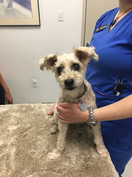 Harris Parkway Animal Hospital Picture 2