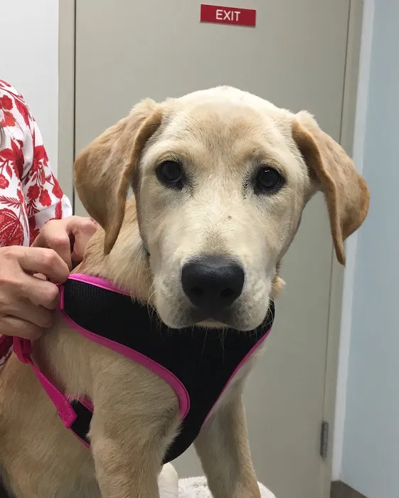 Harris Parkway Animal Hospital Picture 5