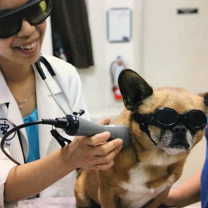 Harris Parkway Animal Hospital Picture 10