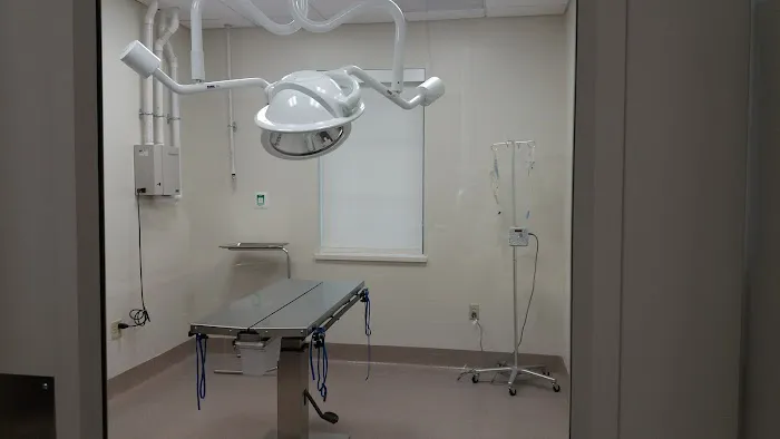 St. Francis Veterinary Clinic Picture 5