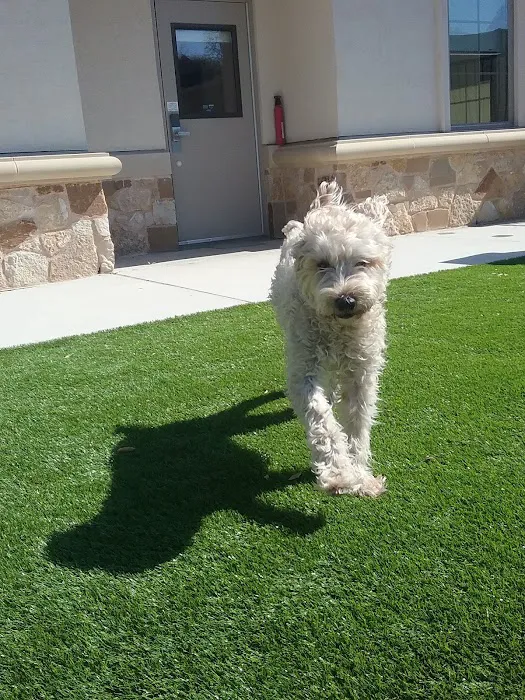 St. Francis Veterinary Clinic Picture 8