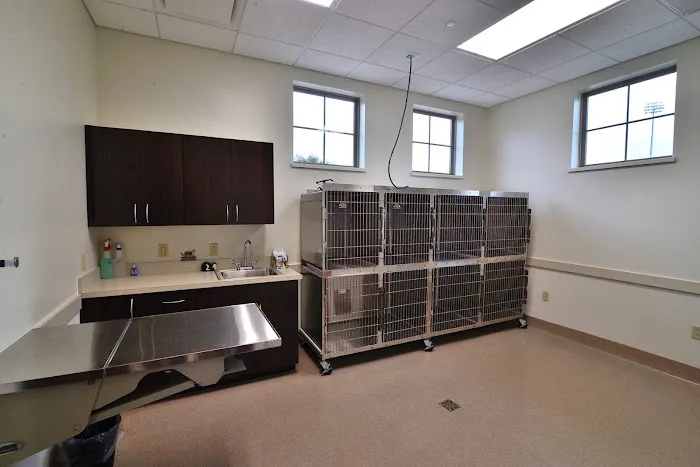 St. Francis Veterinary Clinic Picture 10
