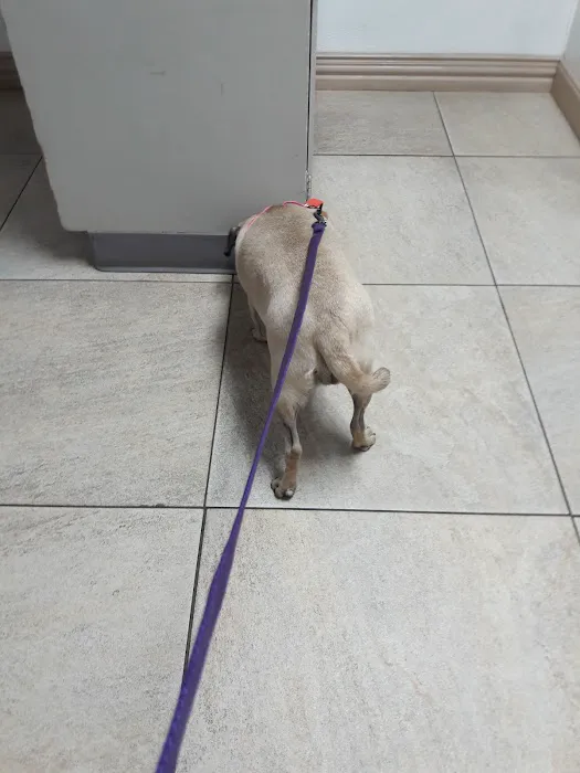 Animal Doctors of North Texas Picture 9