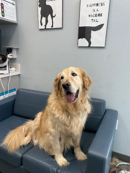 Summer Creek Animal Clinic Picture 4