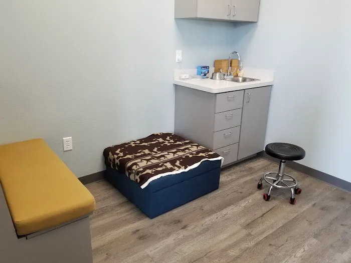 Summer Creek Animal Clinic Picture 2