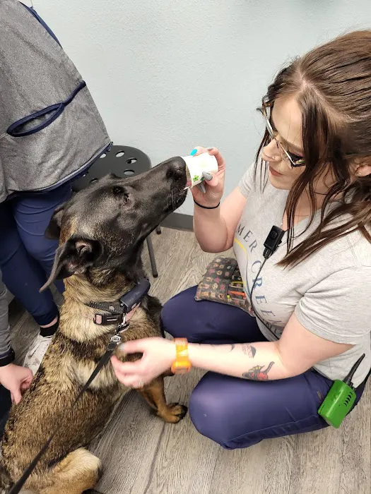 Summer Creek Animal Clinic Picture 1