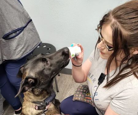 Summer Creek Animal Clinic