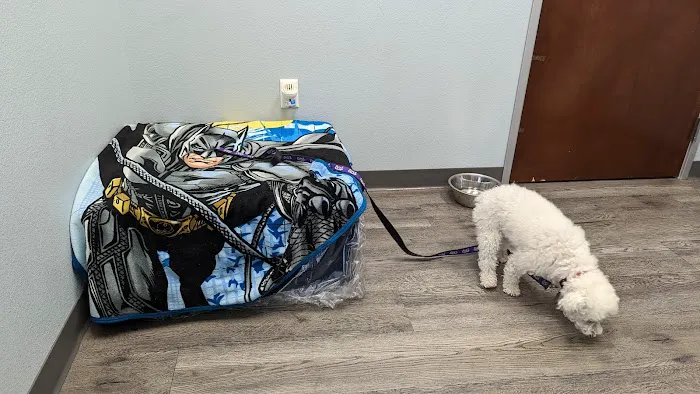 Summer Creek Animal Clinic Picture 6