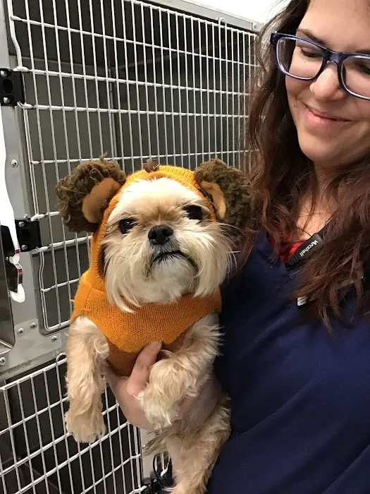 Summer Creek Animal Clinic Picture 9