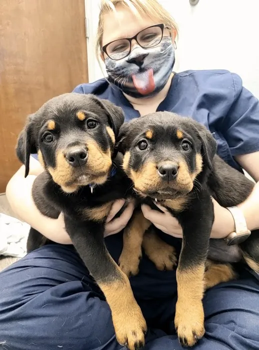 Summer Creek Animal Clinic Picture 10