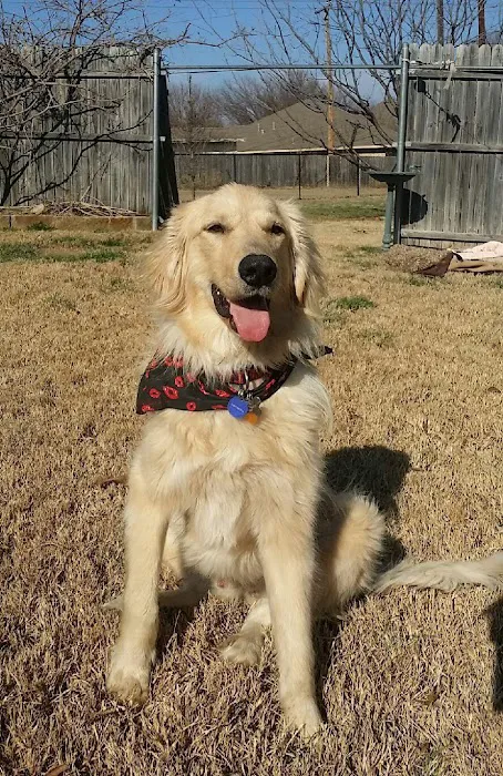 Crowley Road Animal Hospital Picture 7