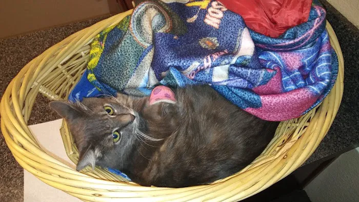 Crowley Road Animal Hospital Picture 8