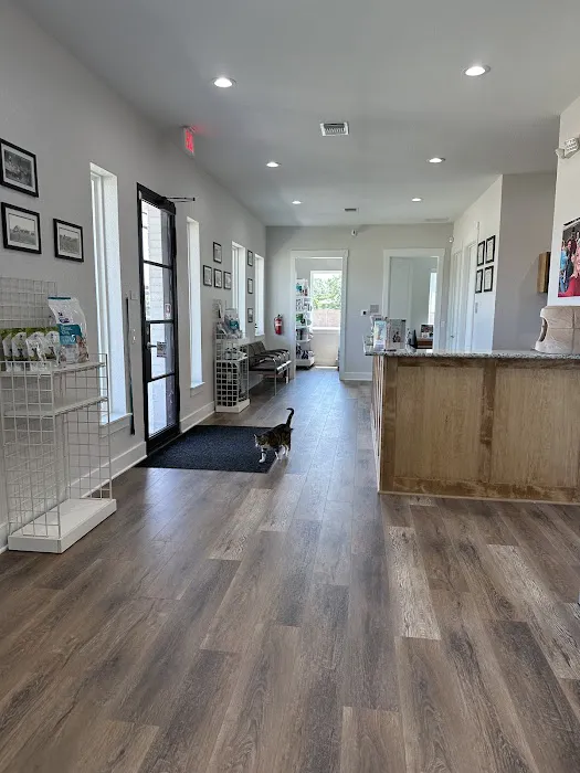 Town and Country Animal Hospital Picture 3