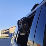 Paws & Claws Veterinary Clinic