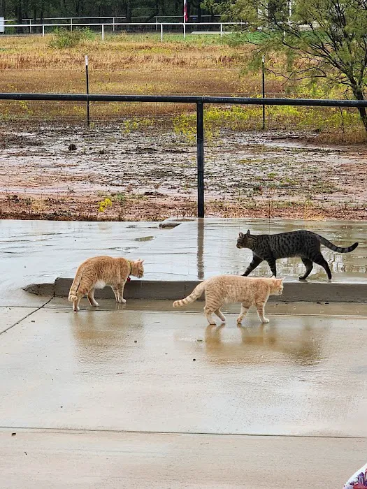 Walnut Creek Veterinary Hospital Picture 1