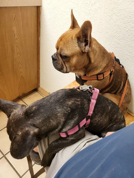 Walnut Creek Veterinary Hospital Picture 9