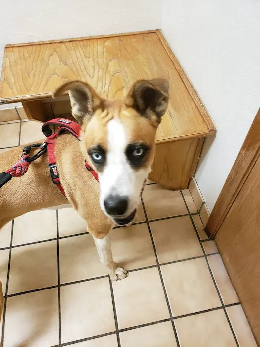 Walnut Creek Veterinary Hospital Picture 8