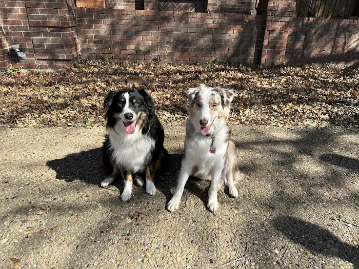 High Point Animal Hospital Picture 2