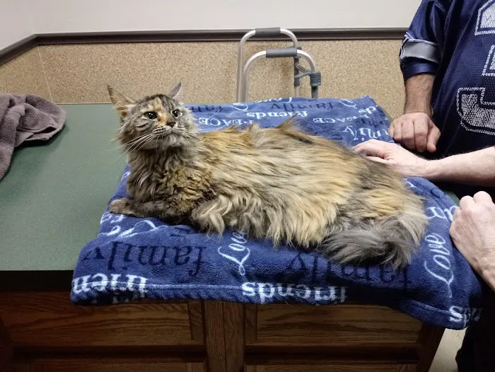 High Point Animal Hospital Picture 7