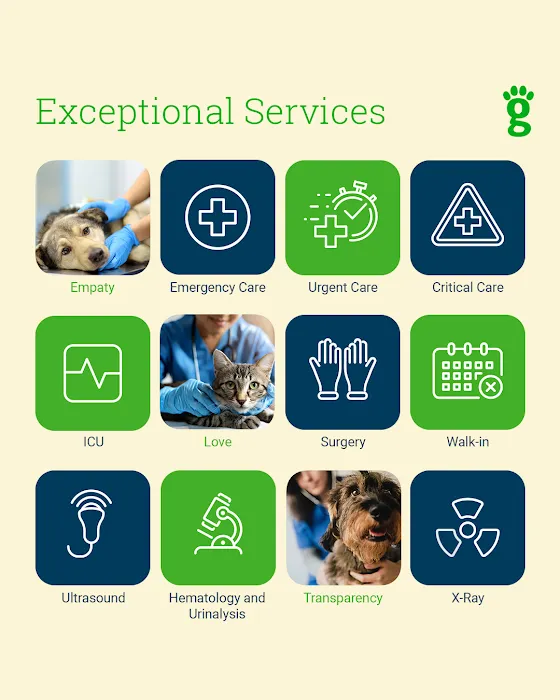 Greenlight Pet Hospital Picture 2