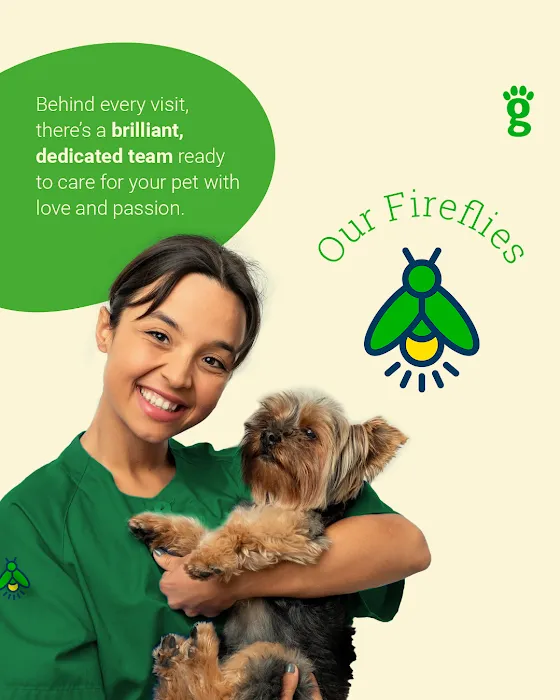 Greenlight Pet Hospital Picture 3