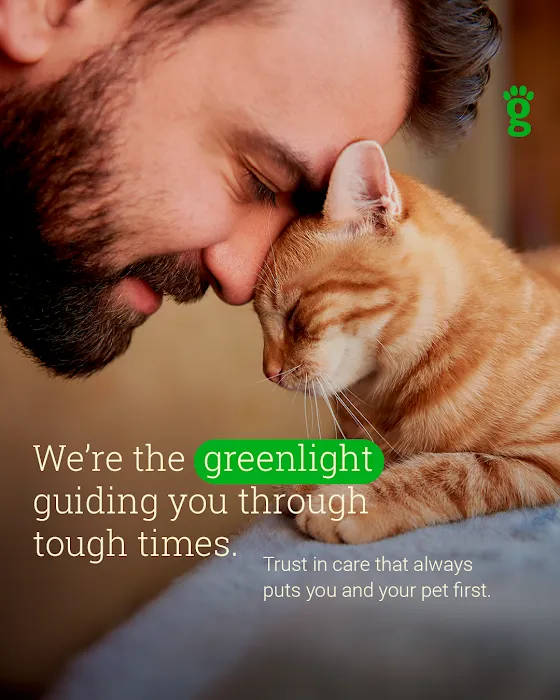 Greenlight Pet Hospital Picture 5