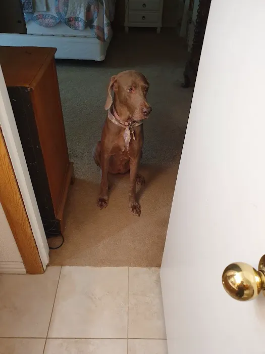 Chase Oaks Animal Clinic Picture 1